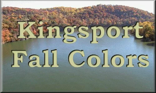 Kingsport Fall Colors