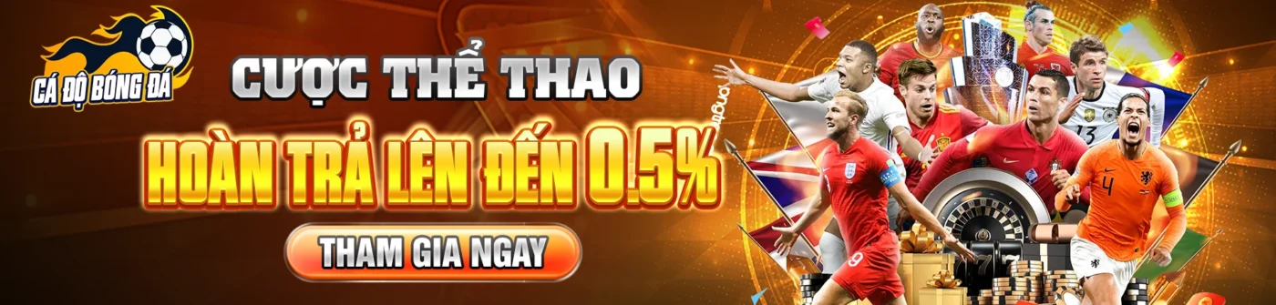 Banner Cá độ bóng đá