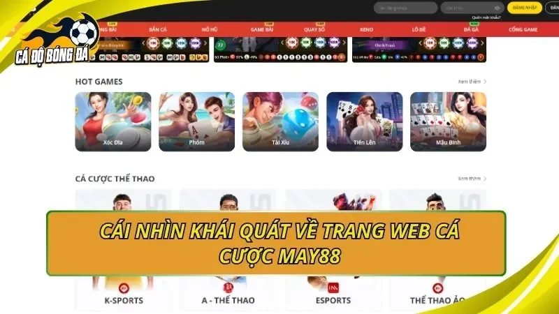 Cái nhìn khái quát về trang web cá cược MAY88